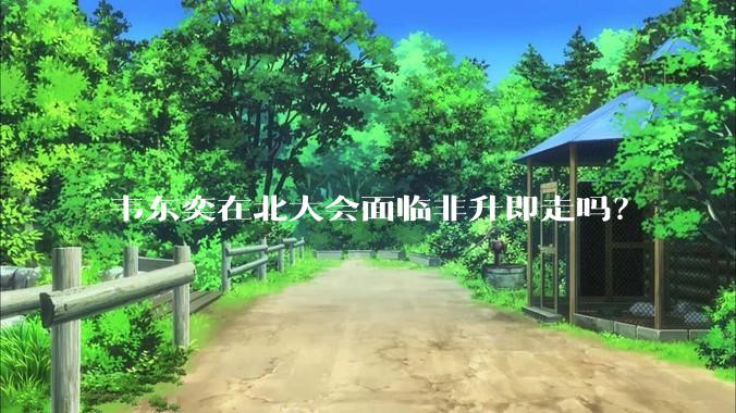 韦东奕在北大会面临非升即走吗？