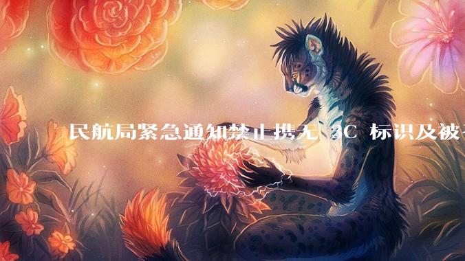 民航局紧急通知禁止携无 3C 标识及被召回的充电宝乘境内航班，无 3C 标识充电宝有哪些安全隐患？
