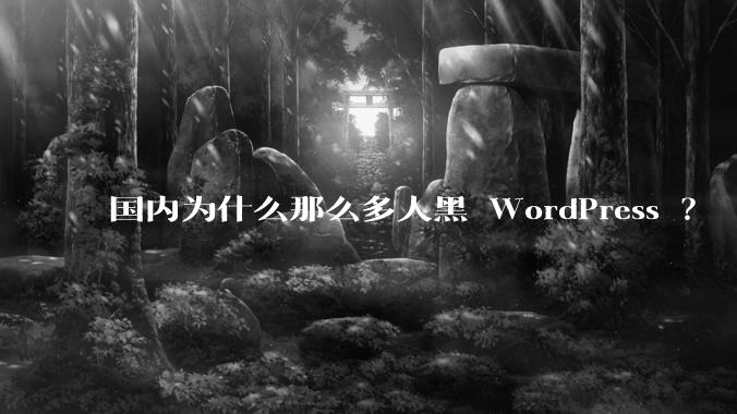 国内为什么那么多人黑 WordPress ？