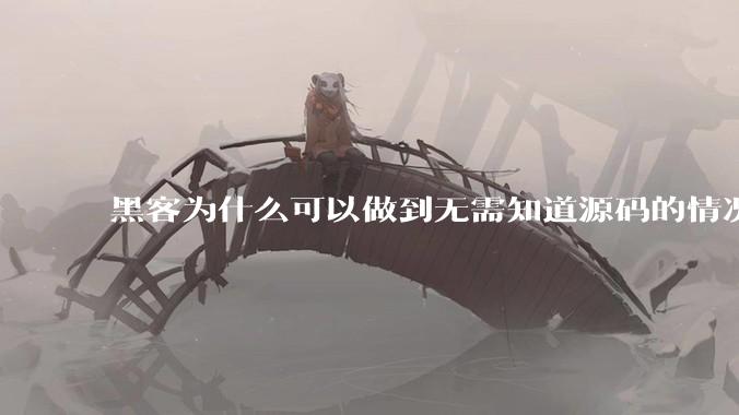 黑客为什么可以做到无需知道源码的情况下找出系统漏洞？