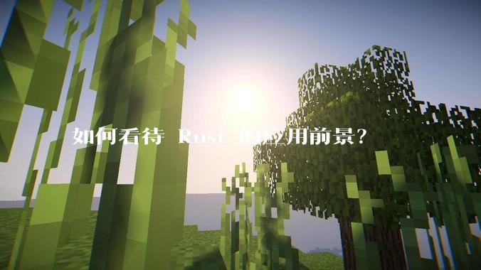 如何看待 Rust 的应用前景？