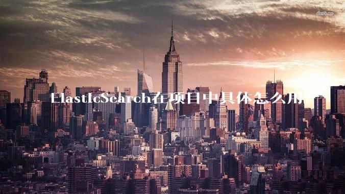 ElasticSearch在项目中具体怎么用？
