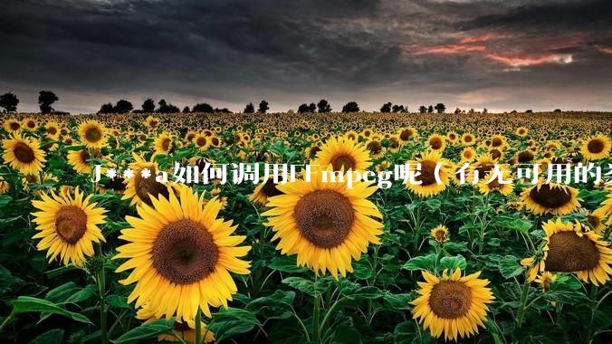 J***a如何调用FFmpeg呢（有无可用的类库）？